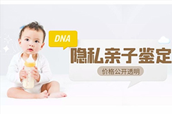 乐山隐私亲子鉴定多少钱的费用