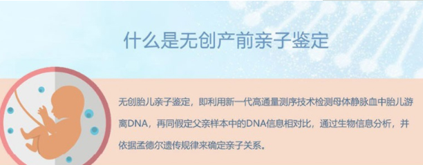 乐山产前DNA亲子鉴定收费标准,